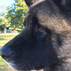 Meet your Posher, Shannon